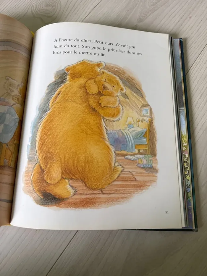 Grand livre enfant ours - photo numéro 5