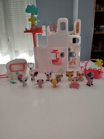 Hôpital petshop