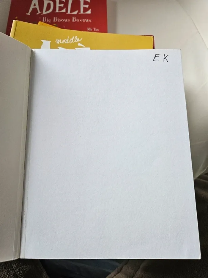 Lot 9 livres Mortelle Adèle - photo numéro 8