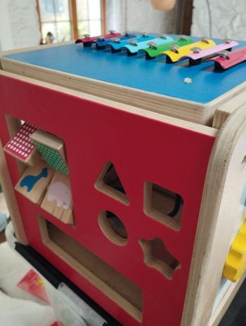 Lot le club des cinq junior