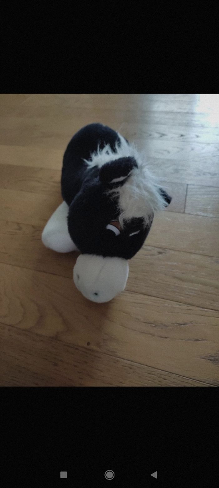 Peluche