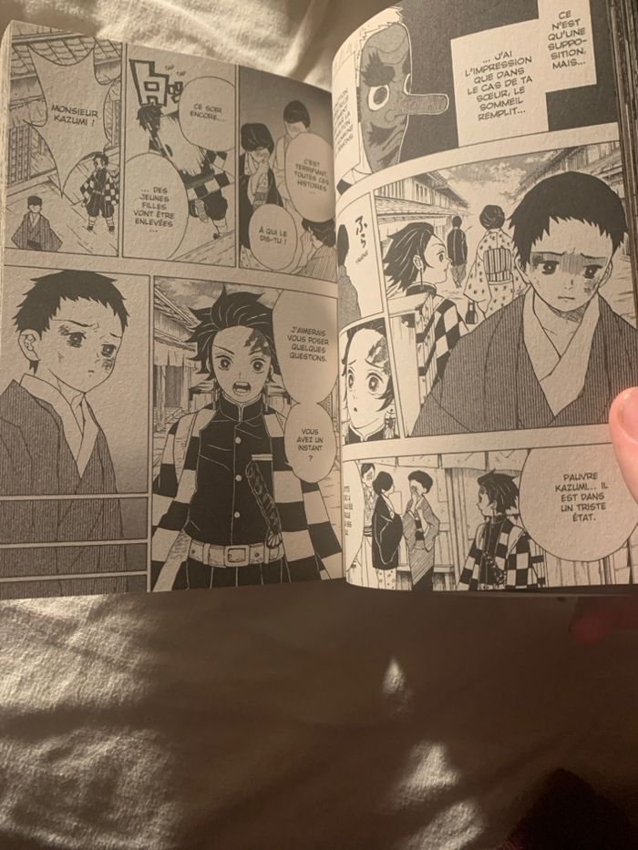 Manga - photo numéro 3