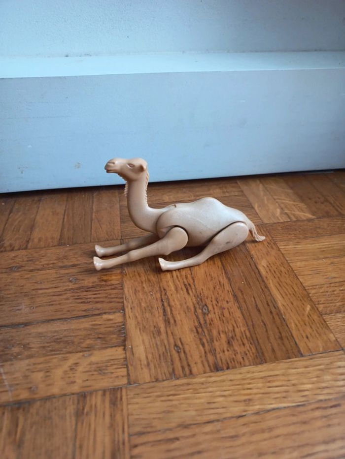 Dromadaire 🐫 - photo numéro 2