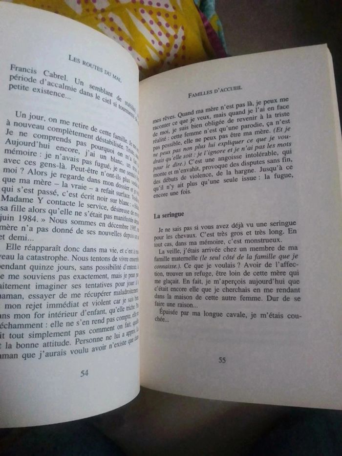 Fanny mes nuits noires dans la ville rose - photo numéro 4