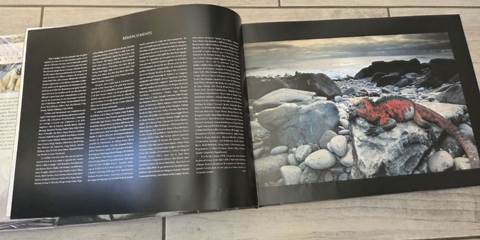 Livre animaux - photo numéro 5