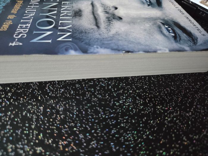 Livre de poche dream hunters tome 4 - photo numéro 4