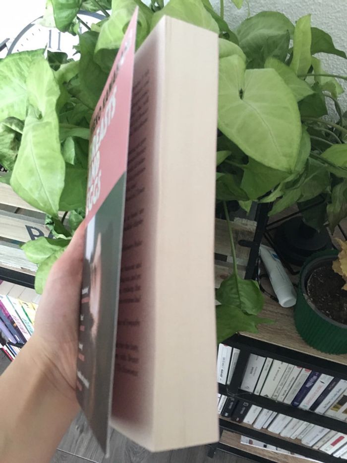 breasts and eggs mieko kawakami - photo numéro 2