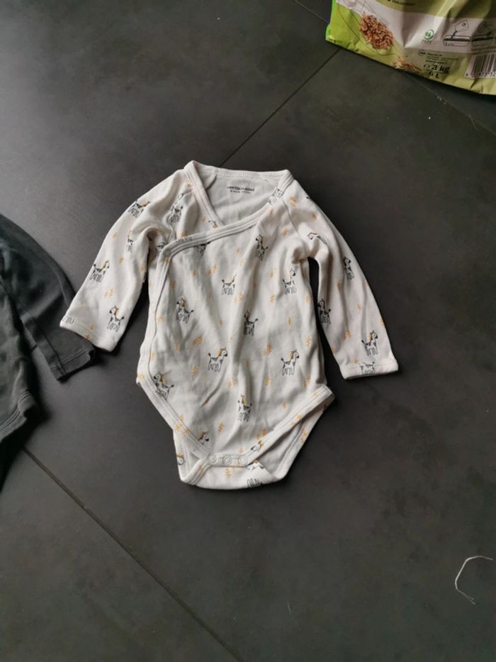 Lot de 2 bodys 6 mois - photo numéro 3