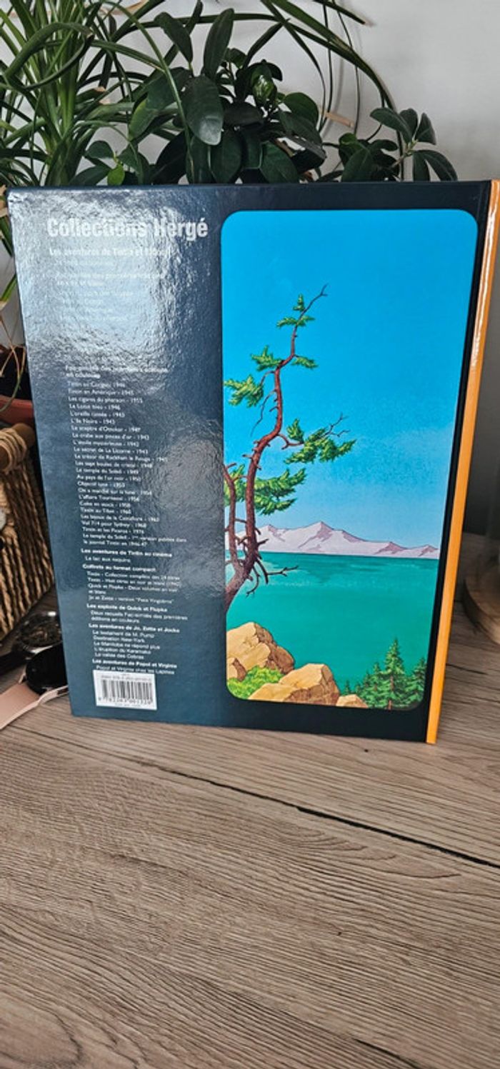 Bande dessiné Tintin et le lac aux requins - photo numéro 4