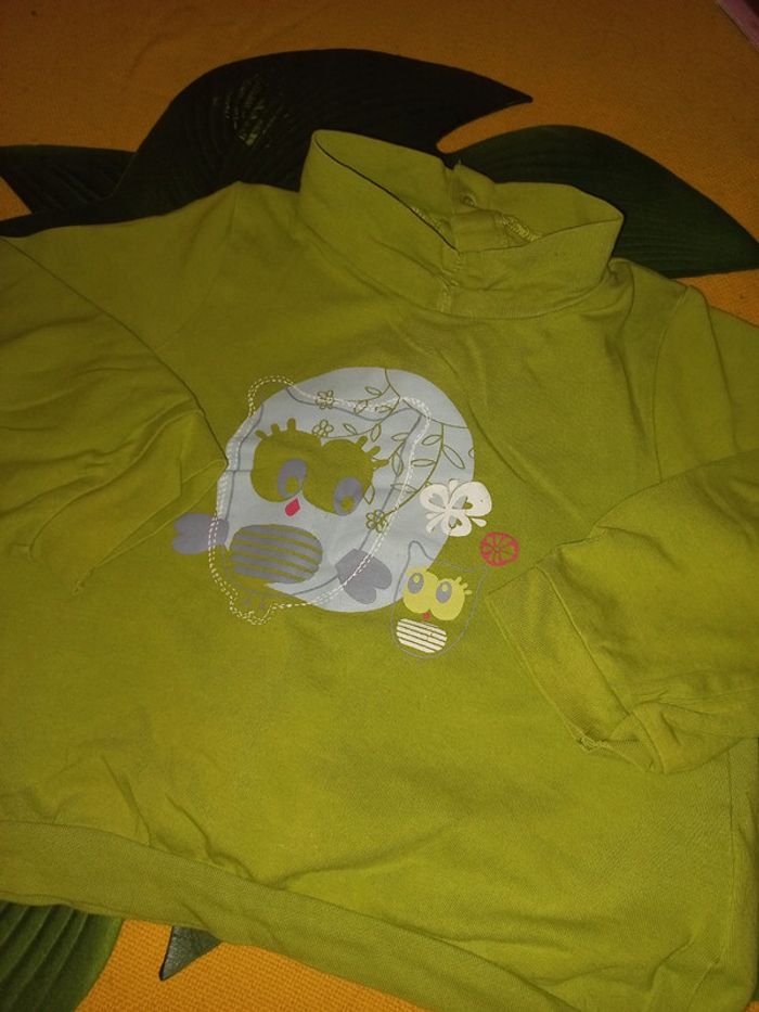 Haut long vert pomme 24 mois - photo numéro 3