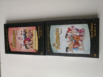 DVD les pierrafeu