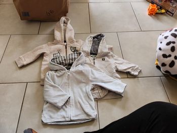 Lot sweat à capuches