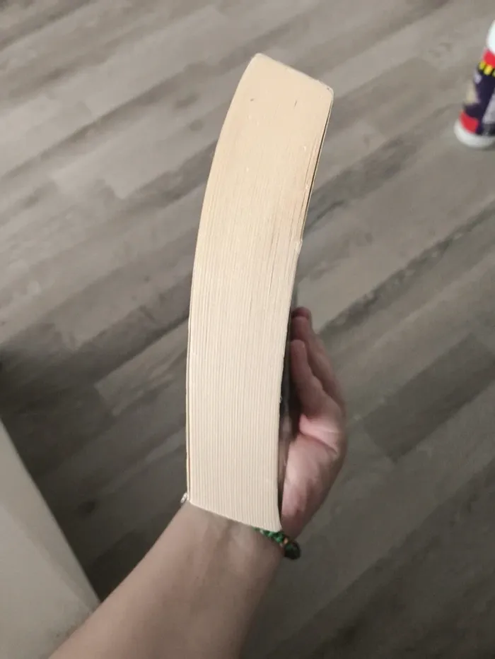 Livre "les chevaliers d'émeraude" tome 1 - photo numéro 6