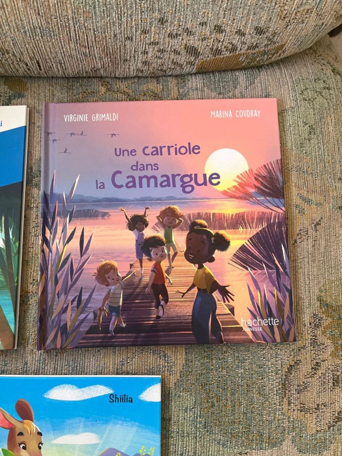 Lot de 3 livres Mac donalds - photo numéro 4