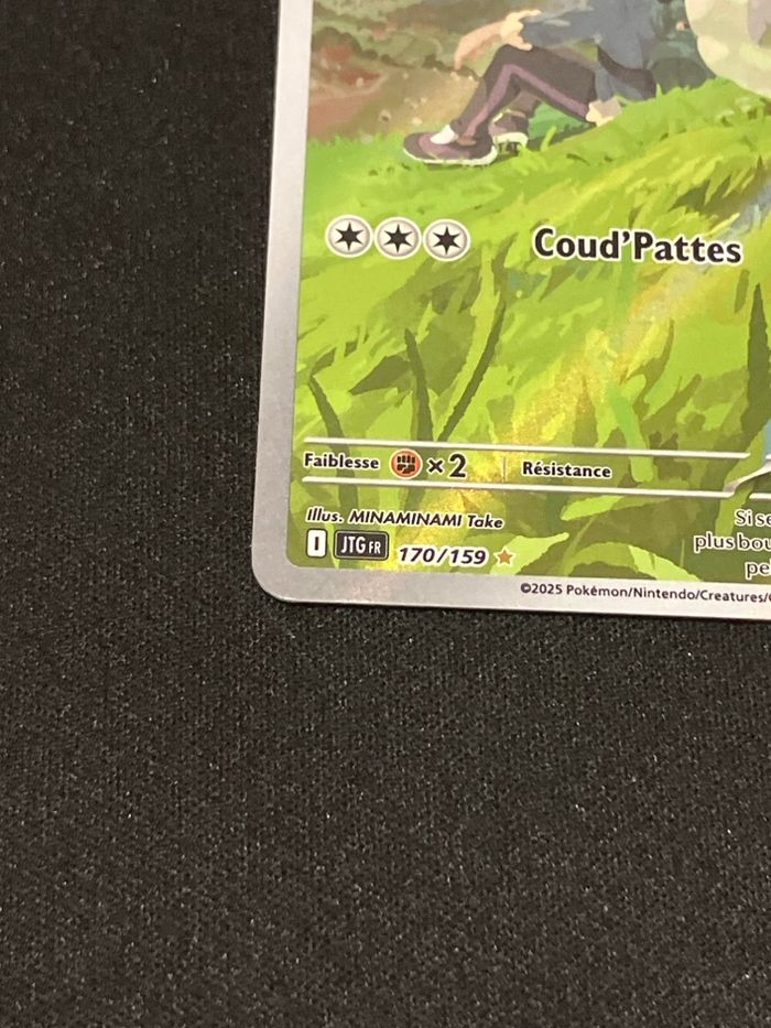 Moumouton de Nabil 170/159 - photo numéro 2