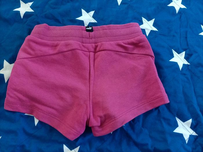 Short puma - photo numéro 4