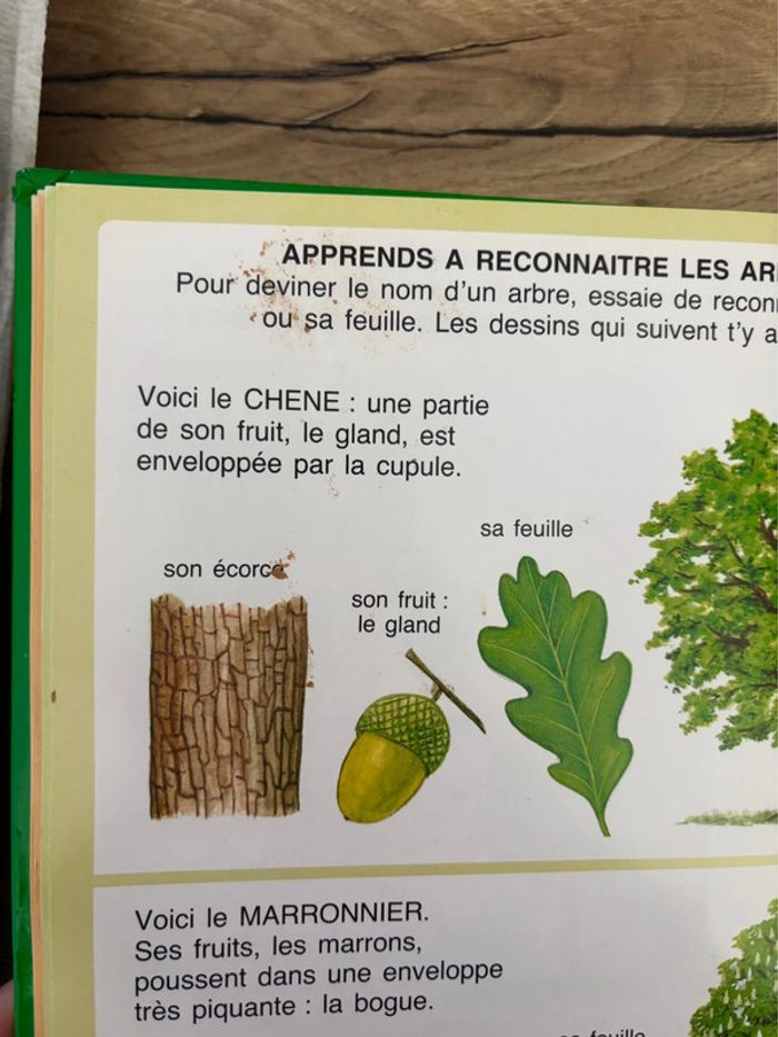 Livre L’Imagerie de la Nature Pour Enfants - photo numéro 9