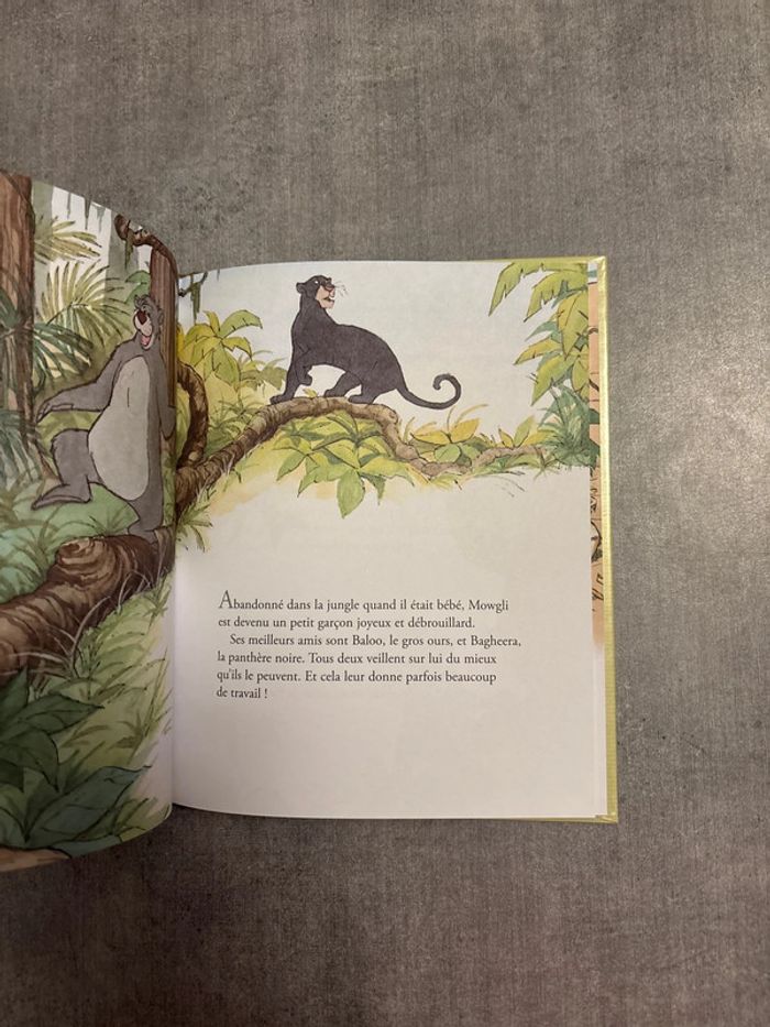 Livre Disney, mes Petit, livre d’or Mowgli et kaa - photo numéro 3