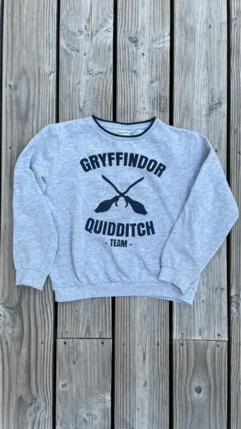 Pull _ Harry Potter _ 10 ans