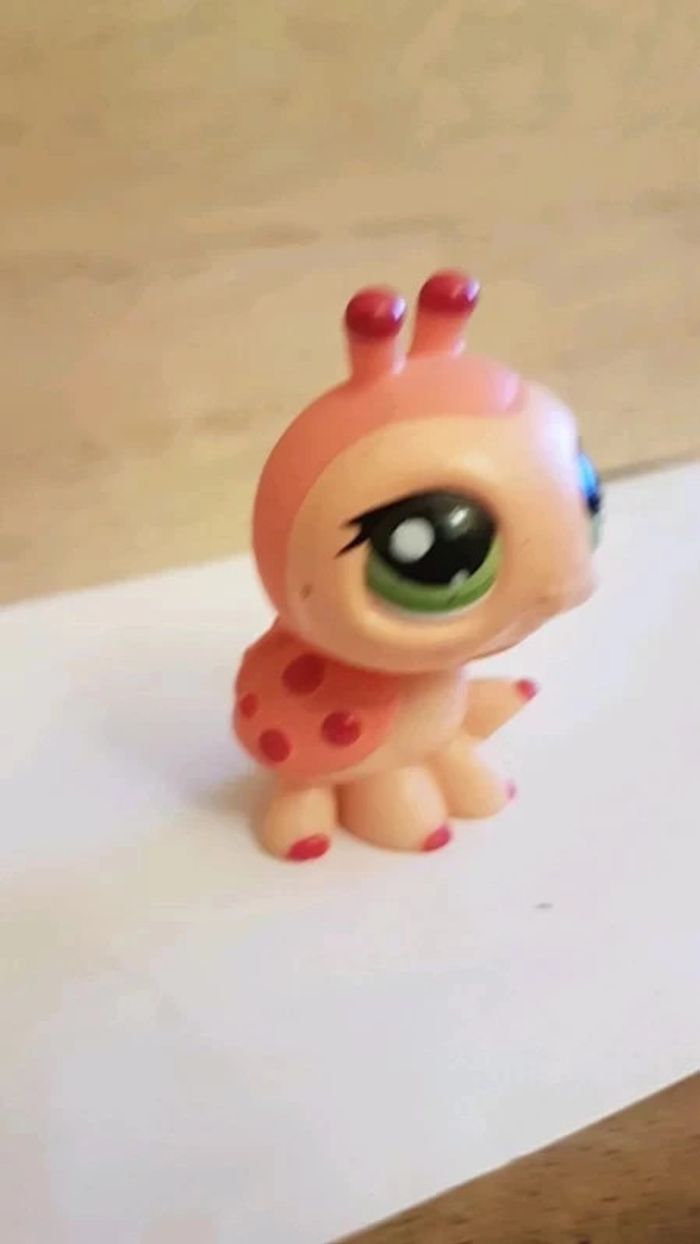 coccinelle PetShop - photo numéro 4