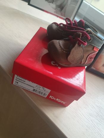 Basket montante kickers