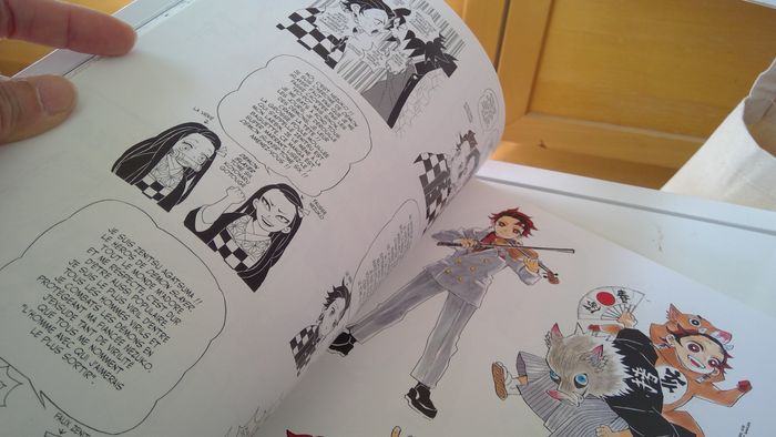 Démon Slayer (Koyoharu Gotouge) - photo numéro 3