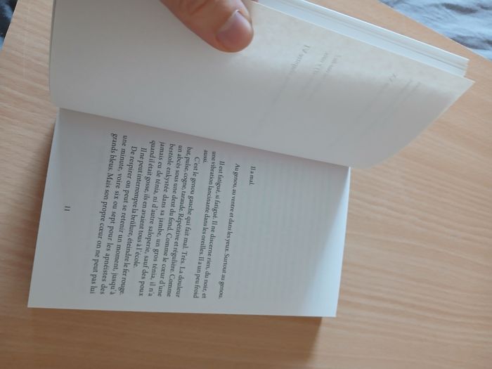 Livre les folies - photo numéro 5
