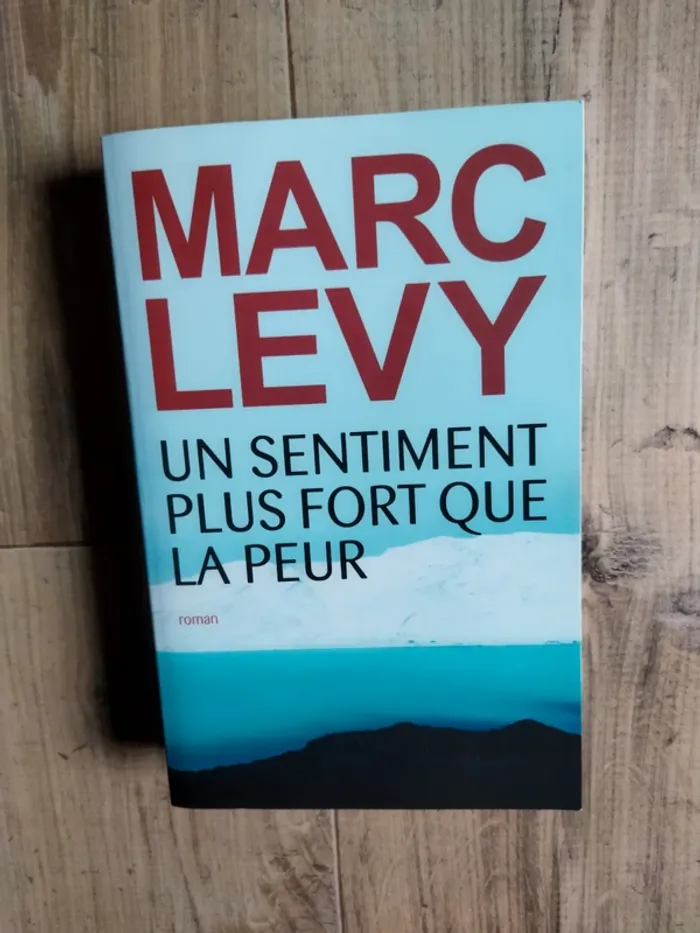 Marc Lévy Un sentiment plus fort que la peur - photo numéro 2