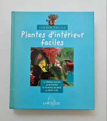 Plantes d'intérieur faciles