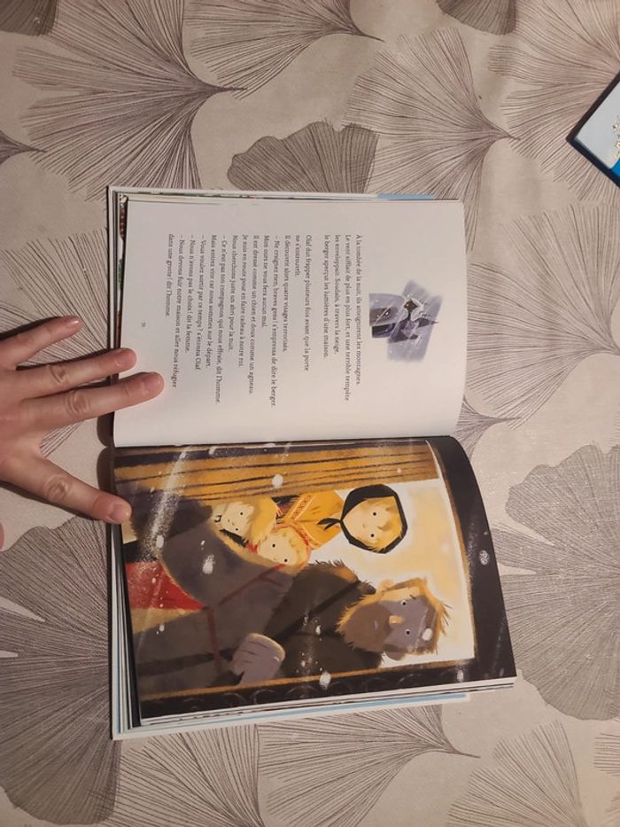 Livre Noël petites histoires père castor - photo numéro 6