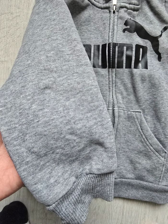 Veste - photo numéro 4