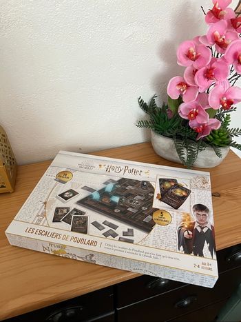 Jeux de société, les escaliers de Poudlard
