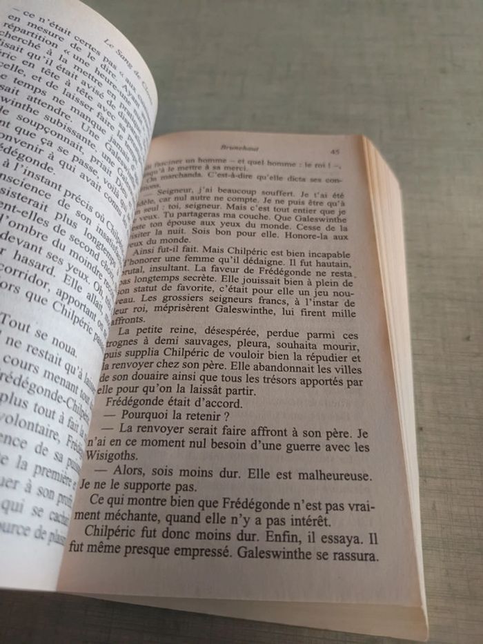 Livre le sang de Clovis - photo numéro 4