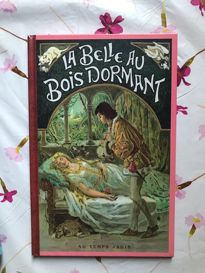 Livre « La belle au bois dormant »