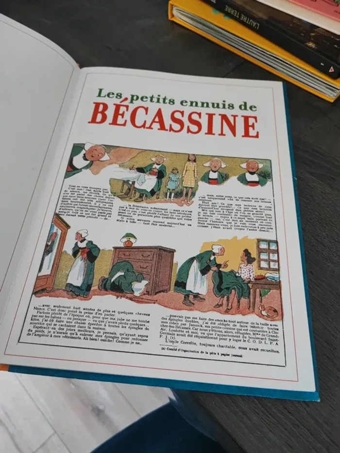 Les petits ennuis de becassine - photo numéro 3