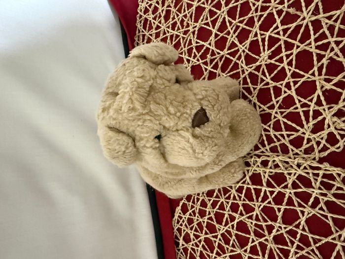 doudou chien - photo numéro 4