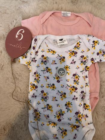 Lot 2 bodies 6 mois manche courte