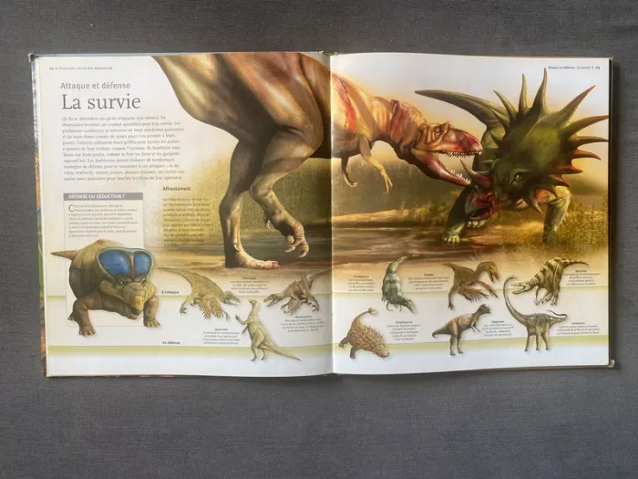 Les dinosaures à loupe Larousse - photo numéro 4