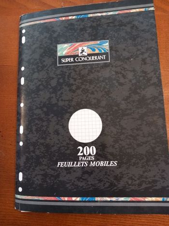 Lot 200 pages feuilles mobiles petits carreaux