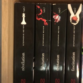 tome 1 à 4 twilight