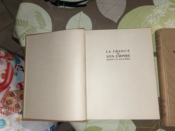 2 livre guerre « La France et son empire dans la guerre ou les compagnons de la grandeur » - photo numéro 2