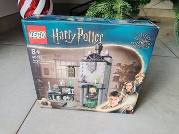 LEGO Harry Potter 40695 – Barjow et Beurk : le réseau des cheminées SCELLÉ
