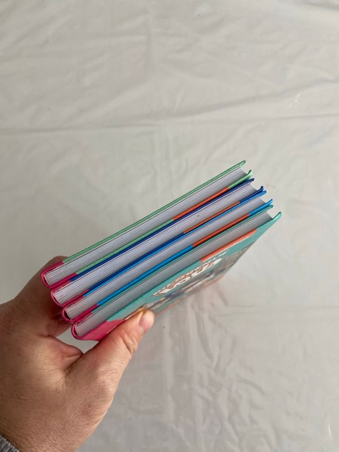 Lot 4 livres La Bibliothèque Rose - Bienvenue chez les Loud - photo numéro 4