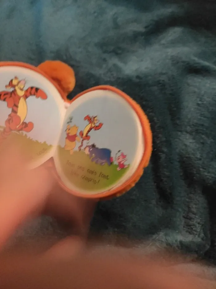 Livre peluche Tigrou - photo numéro 3