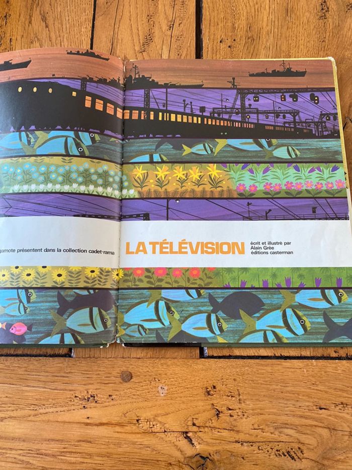 Livre la télévision - photo numéro 2