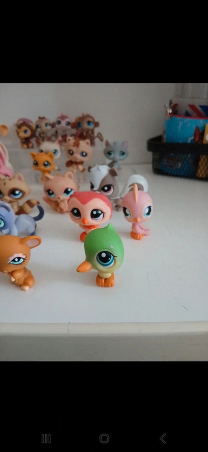 Littlest petshop - photo numéro 6
