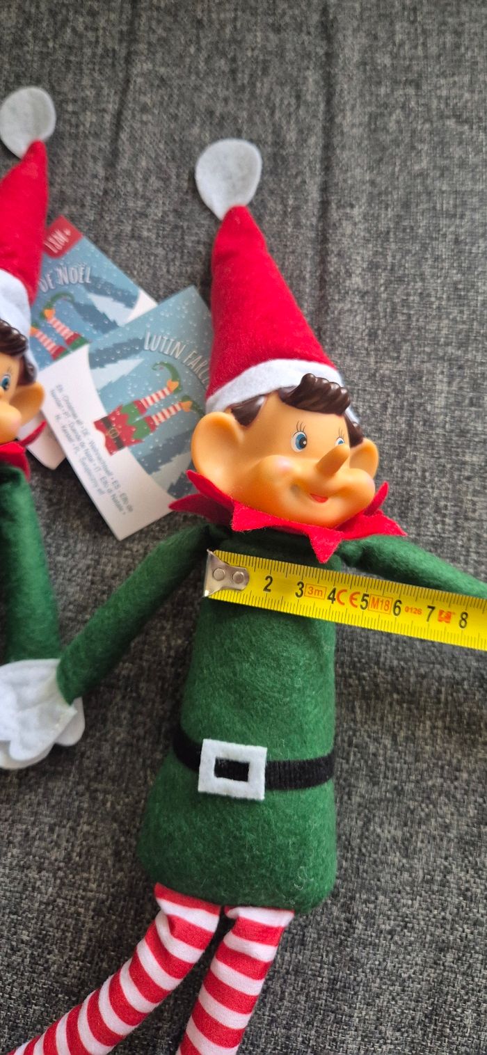 Lutin farceur - photo numéro 6