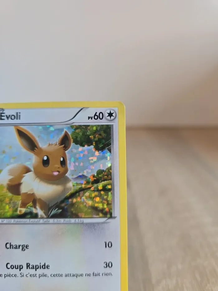 Evoli 12/12 - photo numéro 3