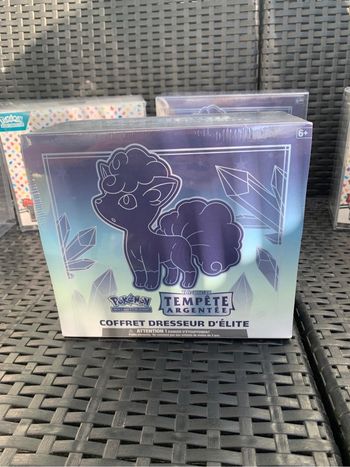 Coffret Dresseur ETB Tempêtes Argenté Pokémon