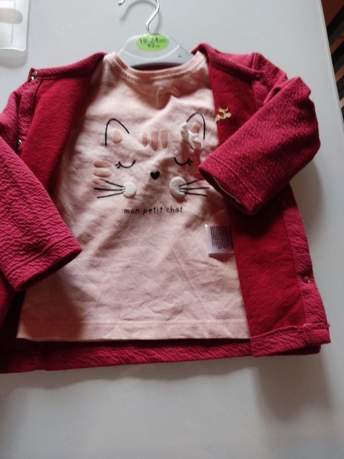 Gilet et tee shirt bébé fille